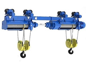 Double hook electric hoist